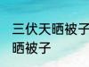 三伏天晒被子的注意事项 三伏天怎么晒被子