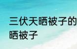三伏天晒被子的注意事项 三伏天怎么晒被子