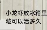 小龙虾放冰箱里保鲜能活吗 小龙虾冷藏可以活多久