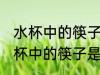 水杯中的筷子为什么是弯的 为什么水杯中的筷子是弯的