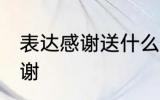 表达感谢送什么花 哪种花可以表达感谢