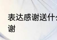 表达感谢送什么花 哪种花可以表达感谢